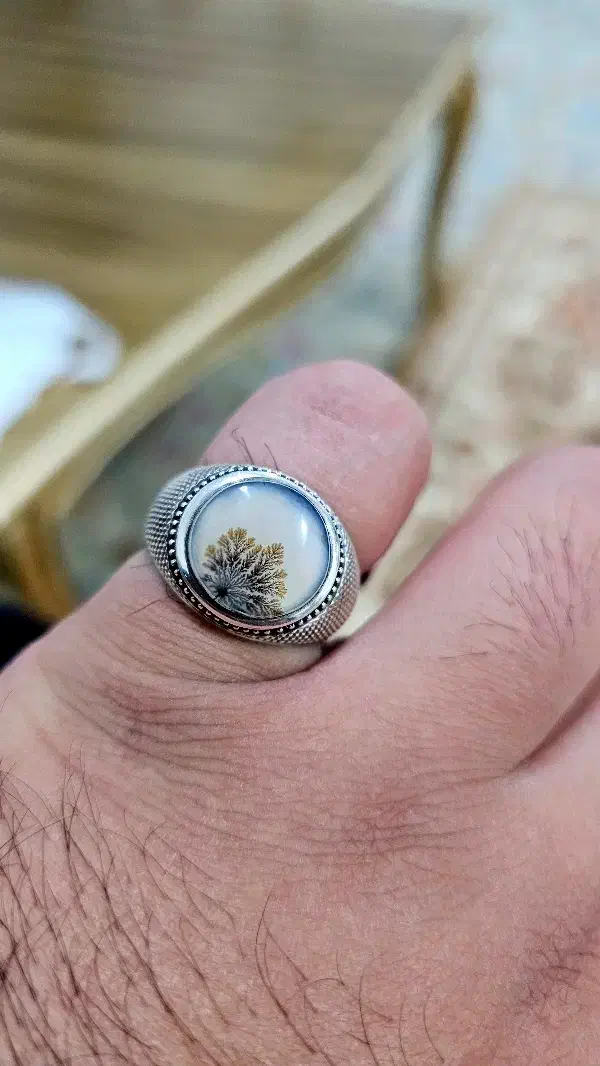 انگشتر فوق کلکسیونی شجر قائن|جواهرات|تهران, آرژانتین|دیوار