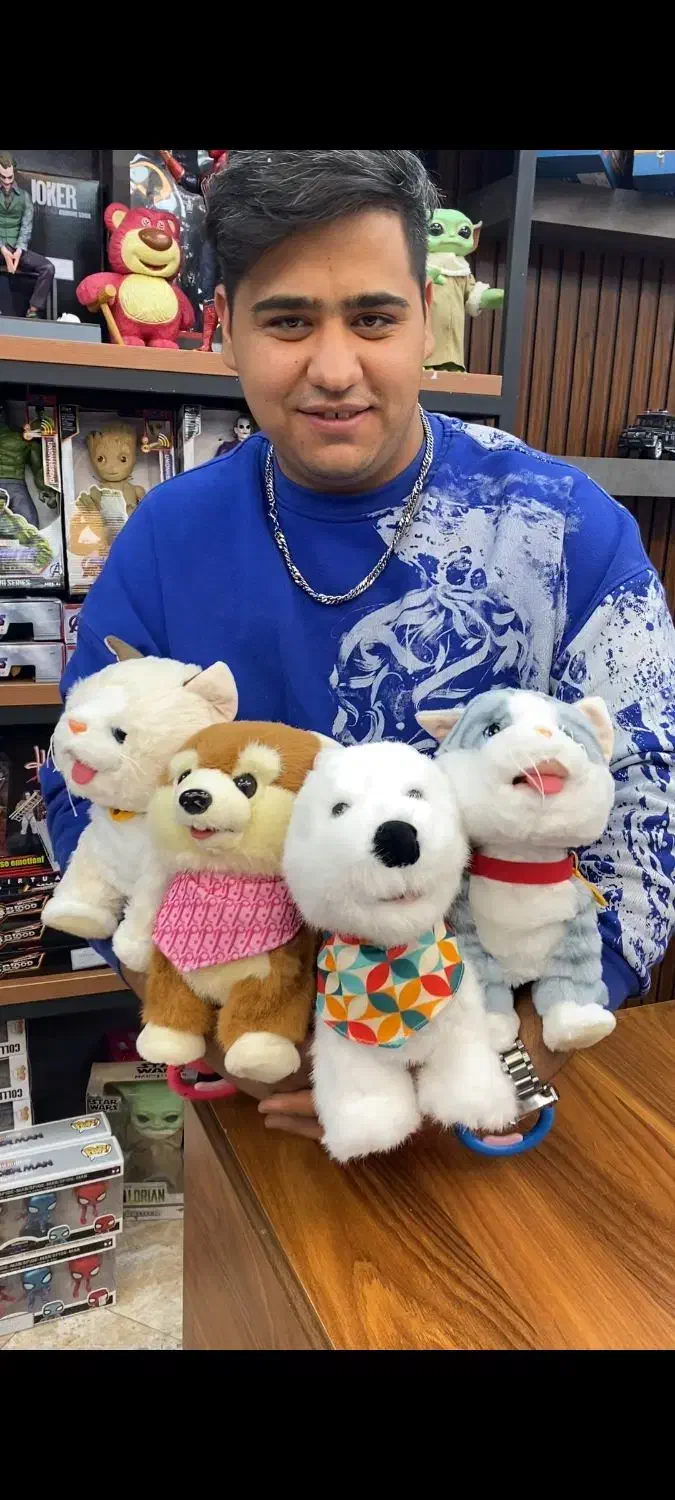 سگ و گربه حسگردار هوشمند قلاده دار پولیشی|اسباب‌‌بازی|چهاردانگه (تهران), |دیوار