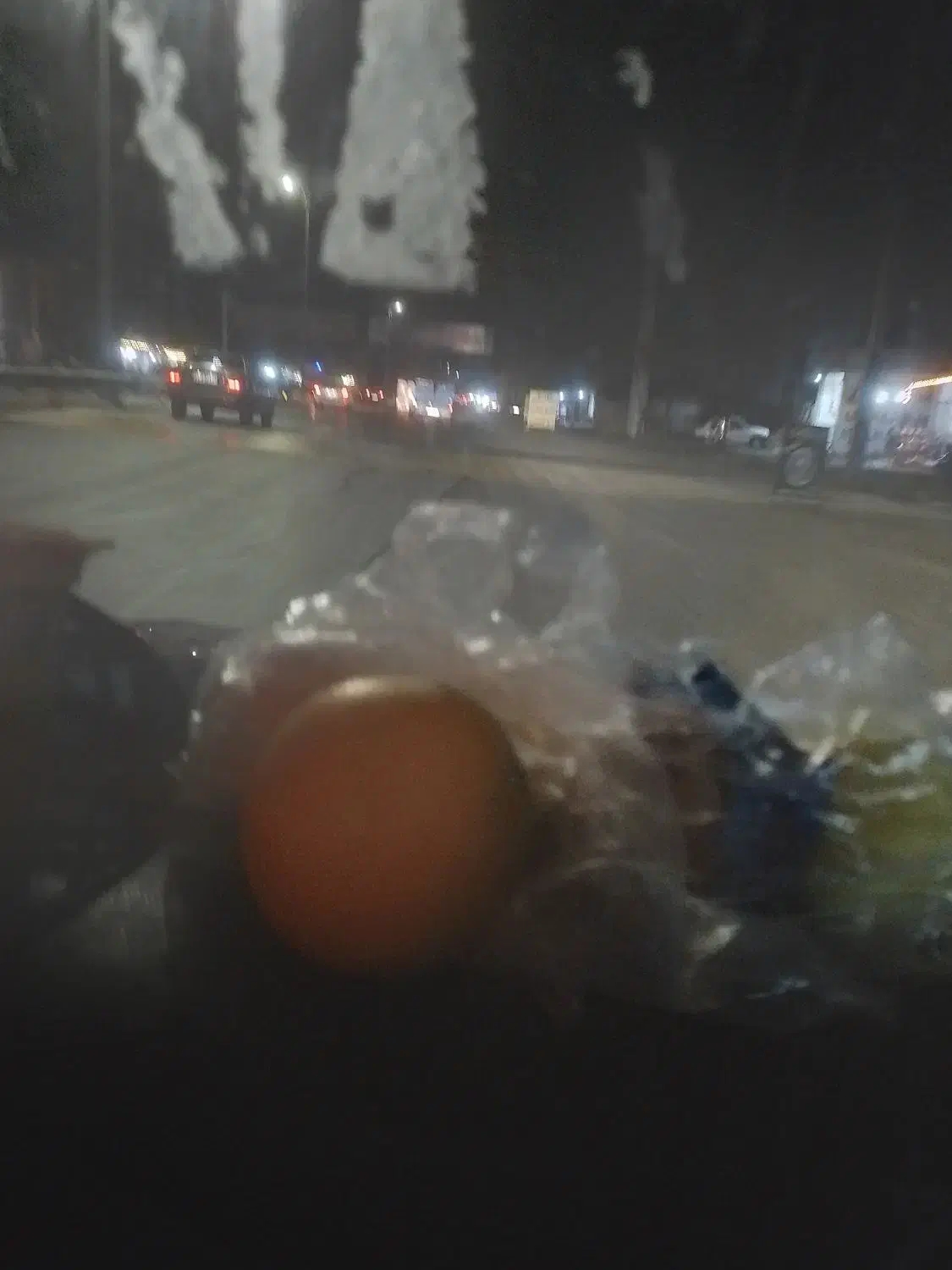 پرتقال تامسون شیرین ابدار|گل و گیاه طبیعی|میان جلگه, |دیوار