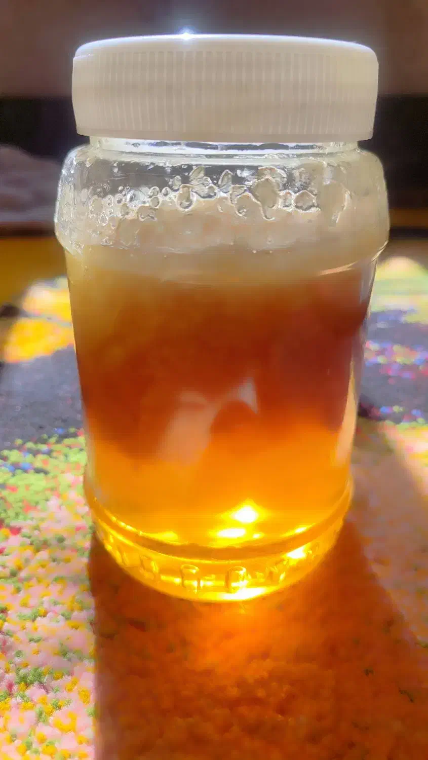 فروش عسل طبیعی و کوهی صدر درصد|خوردنی و آشامیدنی|یاسوج, |دیوار