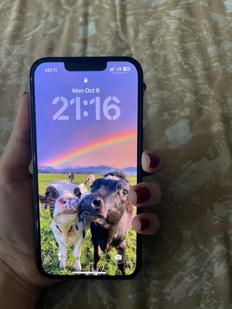 ایفون ۱۳ نرمال|موبایل|شیراز, بریجستون|دیوار