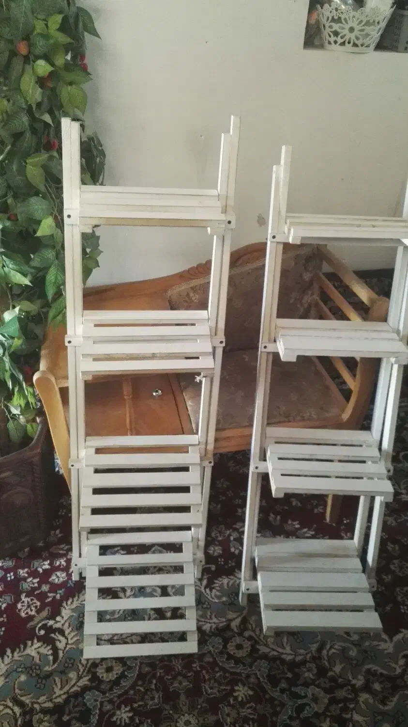 وسایل منزل|گل و گیاه طبیعی|جهرم, |دیوار