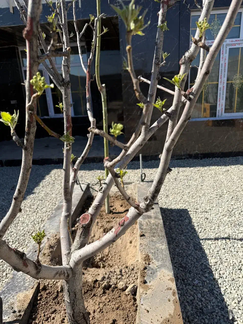 باغ و زمین کد۳۱۲|فروش زمین و ملک کلنگی|شهریار, رنگرز|دیوار