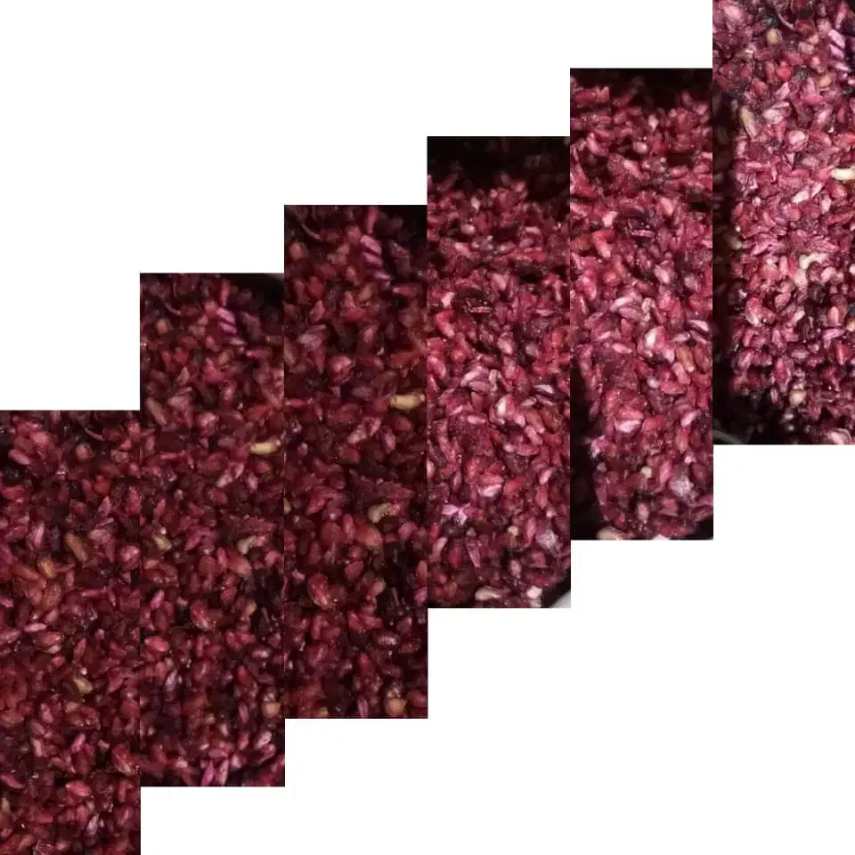 ناردونه خرمایی|خوردنی و آشامیدنی|شیراز, گلشن|دیوار