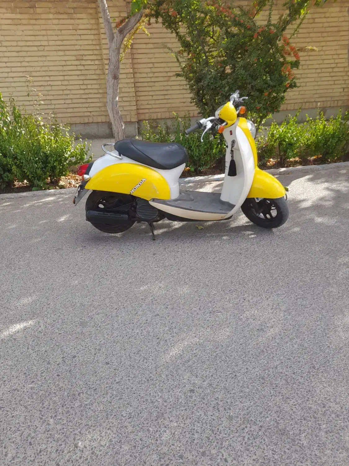 موتور پاکشتی اسکوپی هوندا تمیز|موتورسیکلت|بروجن, |دیوار