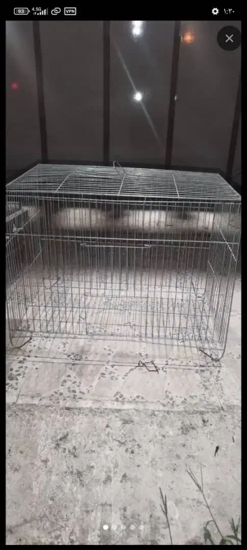 قفس و لانه کیف حمل|حراج|تالش, هشتپر|دیوار