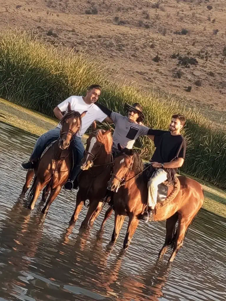 اسب مادیان نریان و کره|اسب و تجهیزات اسبسواری|شیراز, شهرک فرزانگان|دیوار