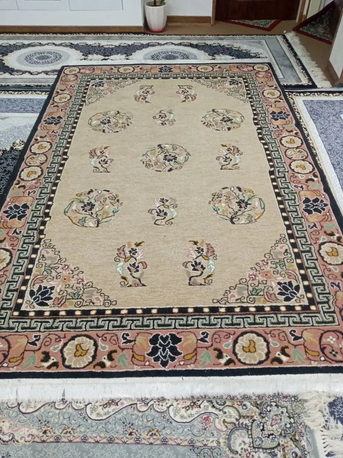 قالی چهارمتری|فرش|شیراز, شهرک سراج‎|دیوار