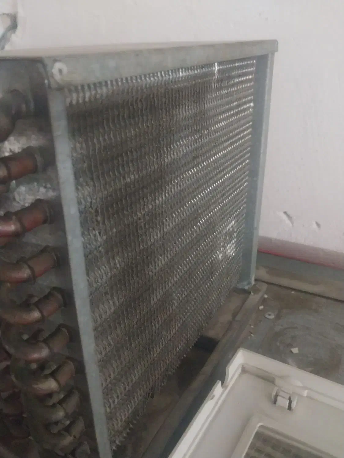 یخچال ویترینی فروشگاهی|فروشگاه و مغازه|شنبه و طسوج, |دیوار