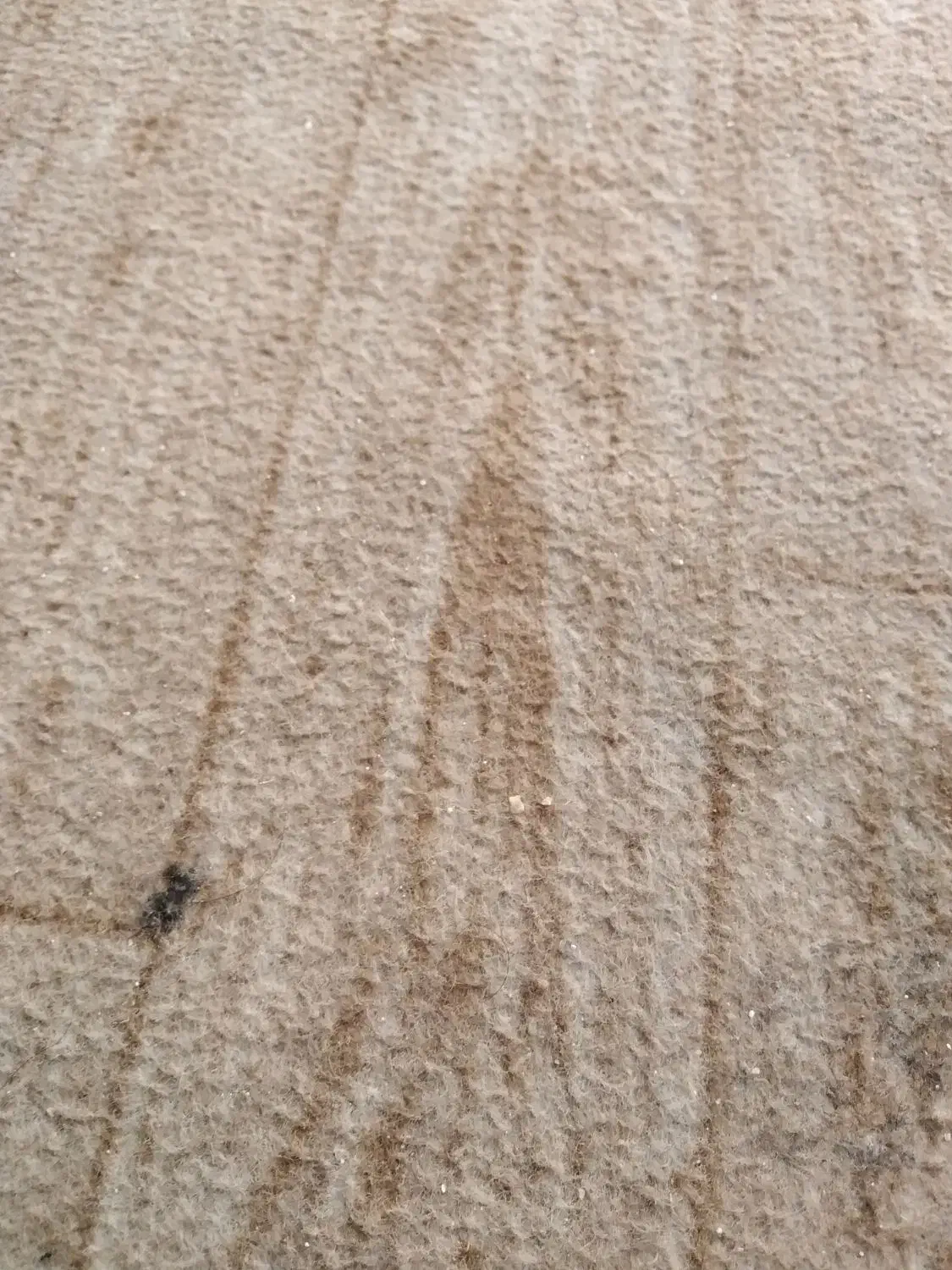 چند تیکه موکت مناسب|موکت|اهواز, کیانپارس |دیوار