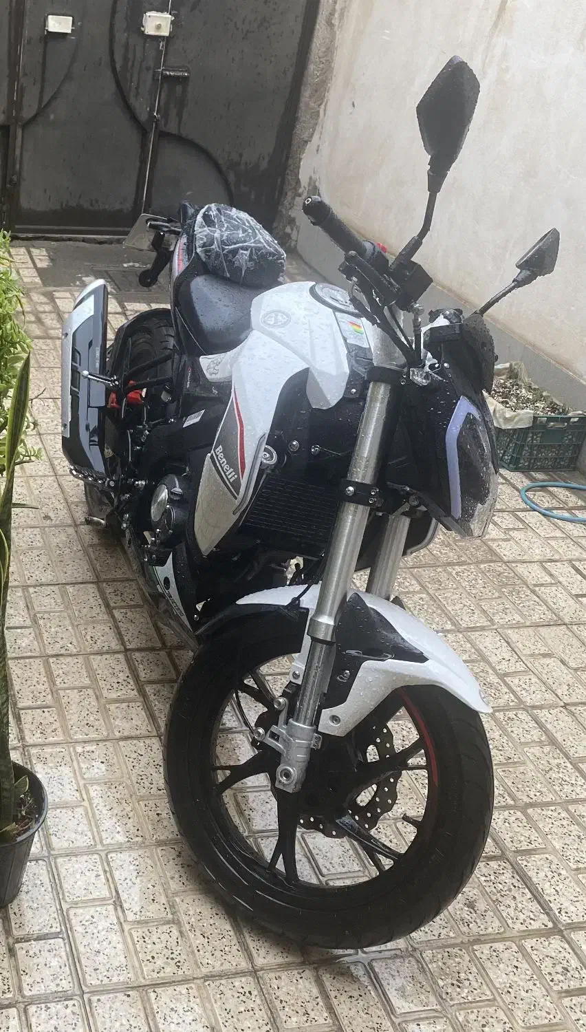 بنلی 180s سفید مدل 1403|موتورسیکلت|مشهد, استاد یوسفی (شهرک غرب)|دیوار