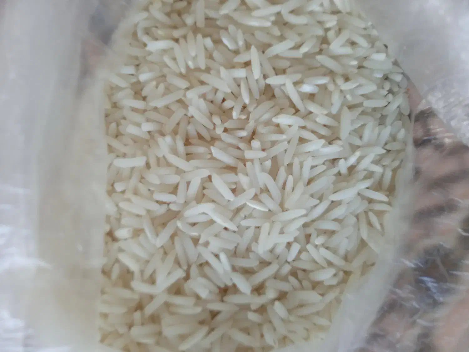 برنج|خوردنی و آشامیدنی|لاهیجان, بازکیاگوراب|دیوار