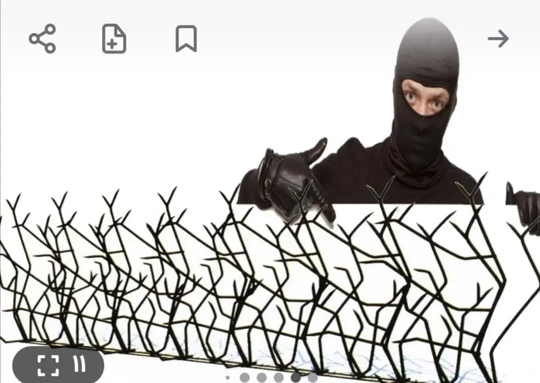 دزدگیر. نرده شاخ گوزنی. حفاظ امنیتی|مصالح و تجهیزات ساختمان|قم, دانش|دیوار