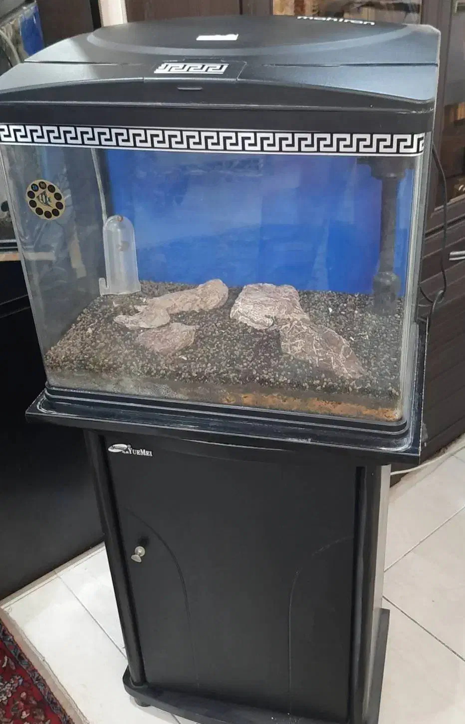 آکواریوم شرکتی ماهیران|ماهی|تهران, صد دستگاه|دیوار