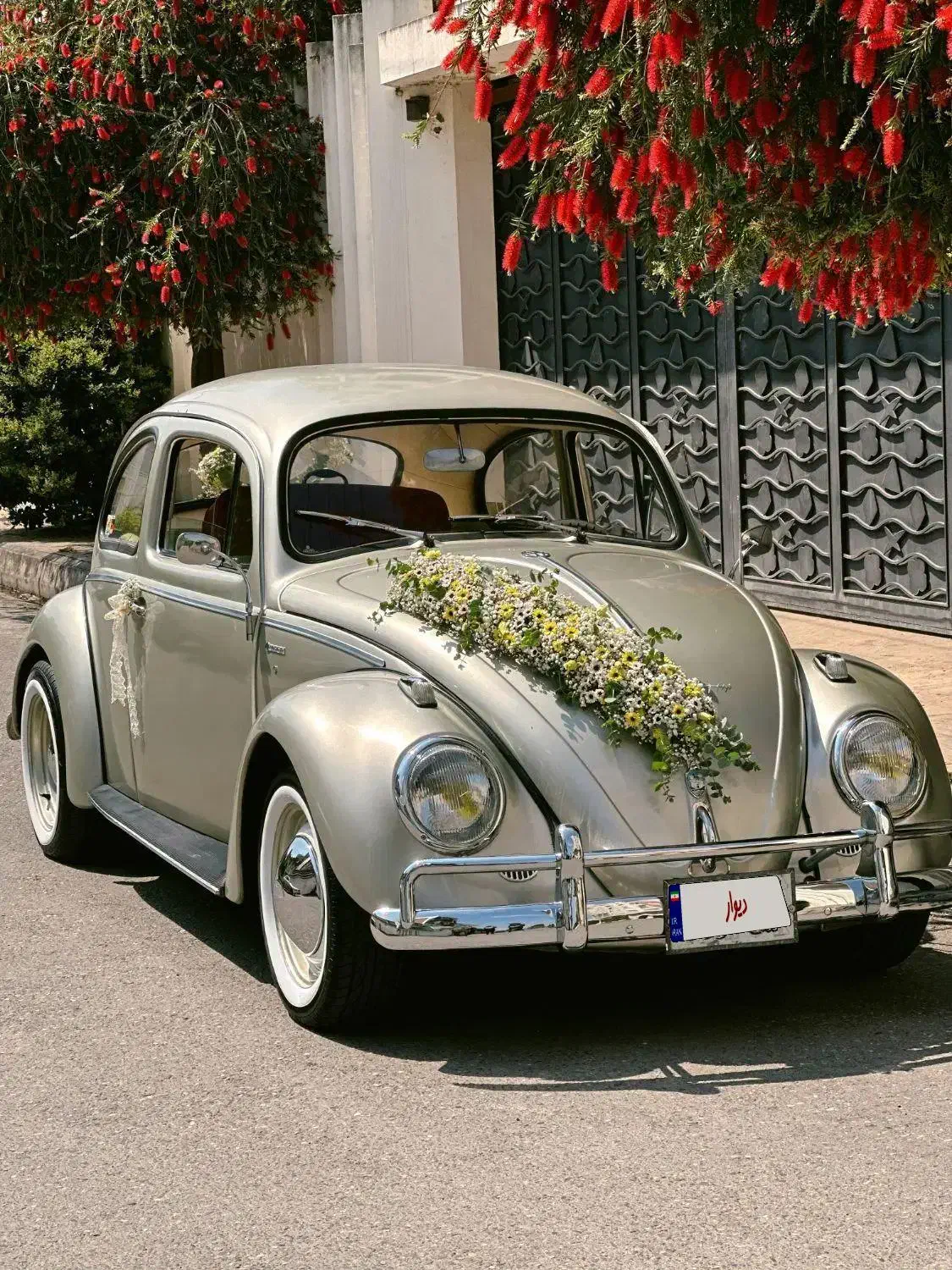 اجاره ماشین عروس خاص کلاسیک فولکس|خودرو اجارهای|آمل, |دیوار