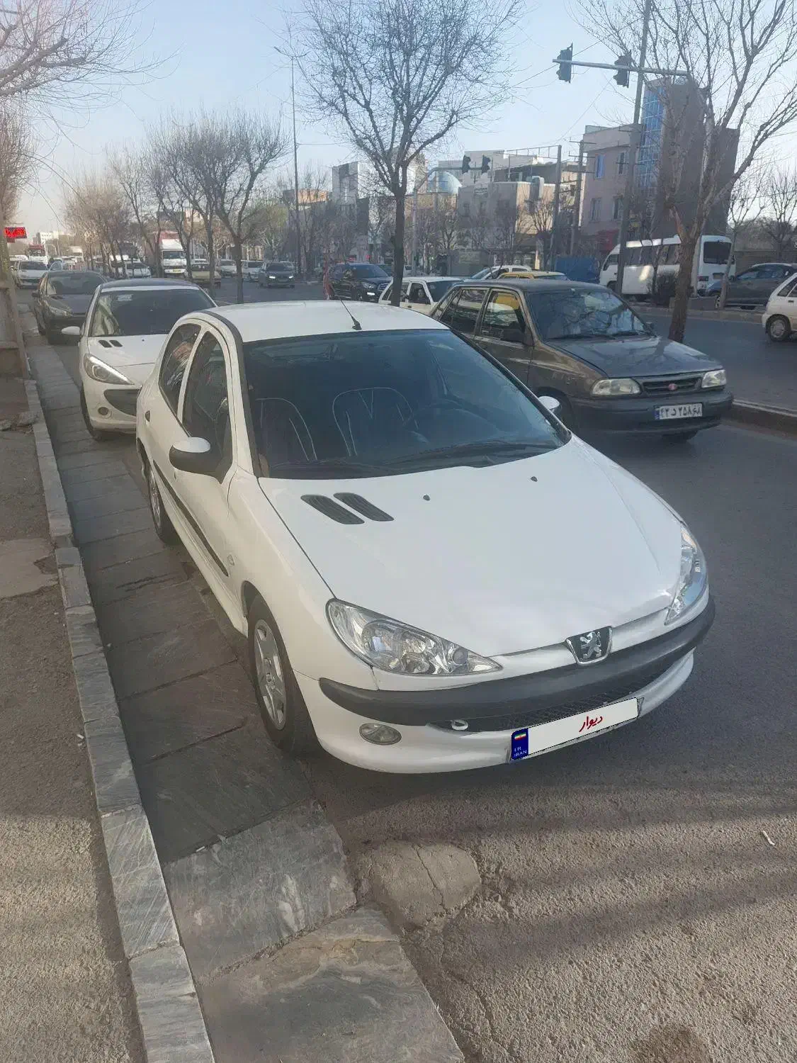 ۲۰۶ تیپ ۲ مدل ۹۰|خودرو سواری و وانت|کرج, ساماندهی|دیوار