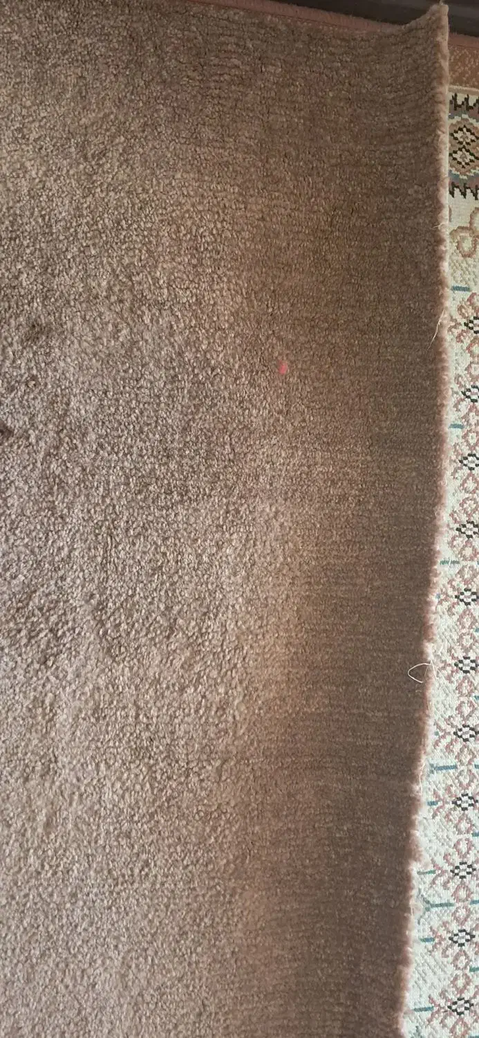 گلیم فرش و وسایل تیبا|گلیم، جاجیم، گبه|شاهینشهر, فردوسی|دیوار