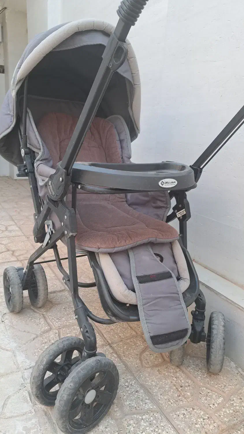 کالسکه دلیجان|کالسکه و لوازم جانبی|فردوس (خراسان), |دیوار