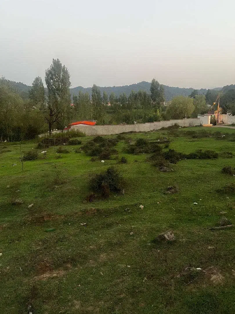 زمین۳۰۰متری/خوش قواره/ویرمونی|فروش زمین و ملک کلنگی|آستارا, |دیوار