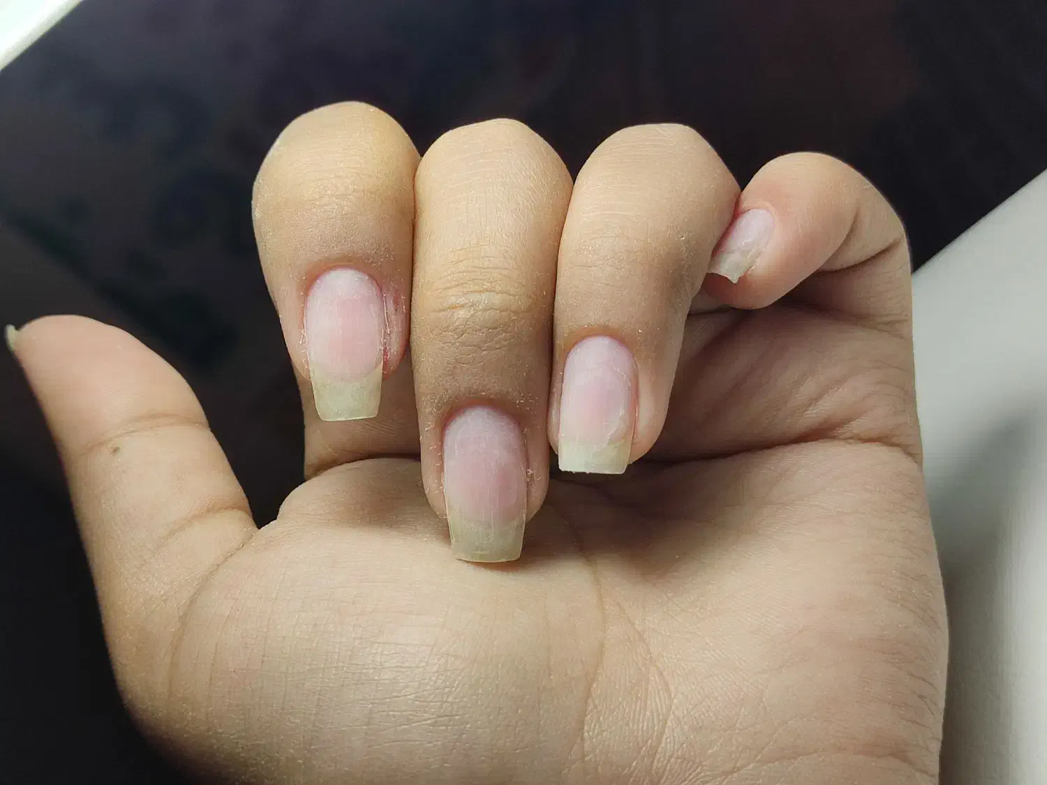 دنیای ناخن|خدمات آرایشگری و زیبایی|بیرجند, |دیوار