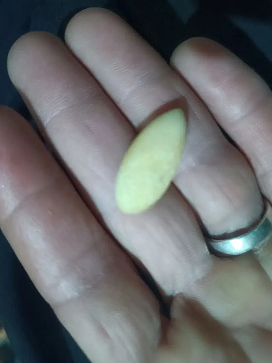 مهره اصل|کلکسیون اشیاء عتیقه|ملک‌آباد, |دیوار