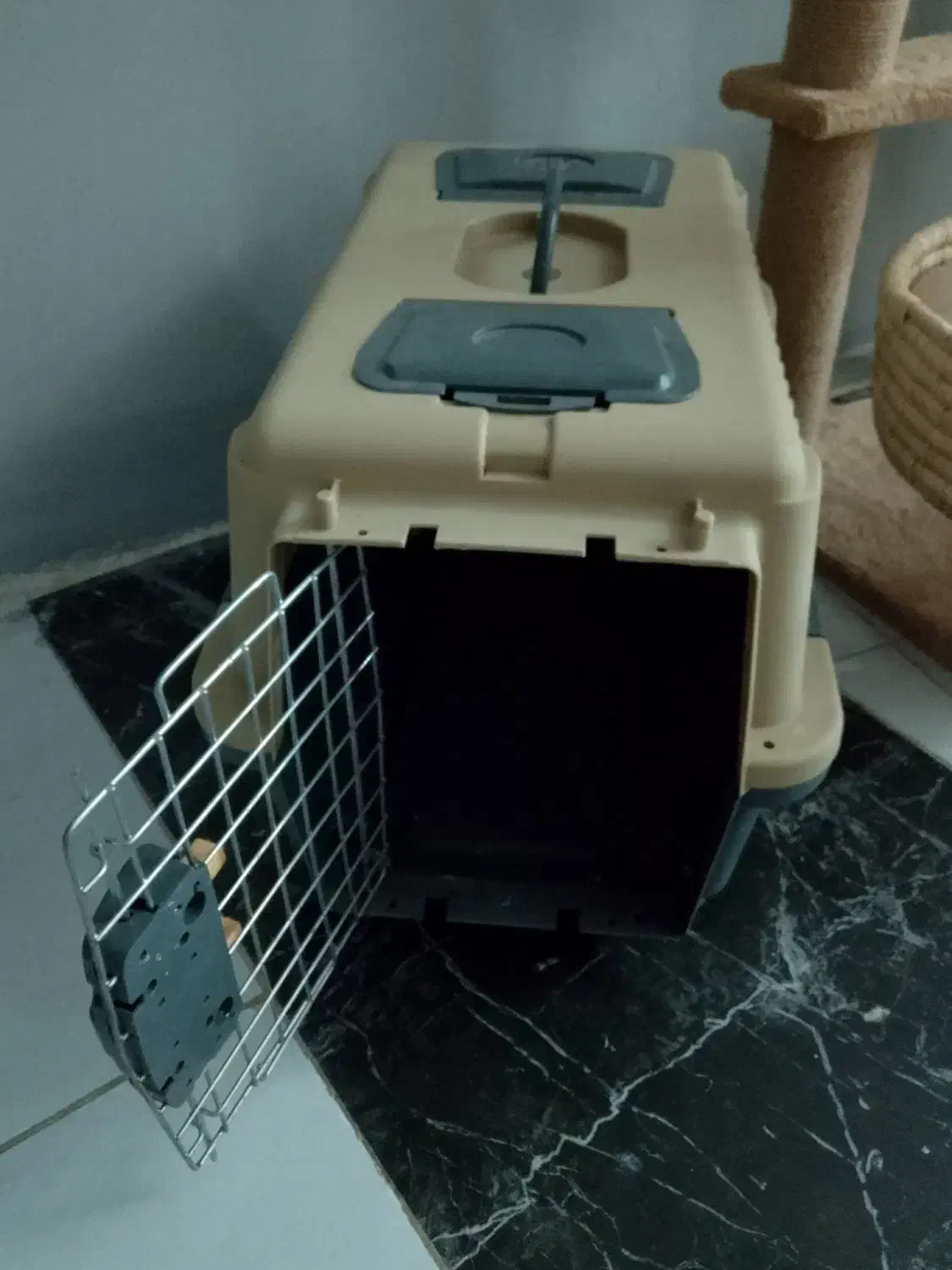 باکس حمل سگ و گربه|لوازم جانبی حیوانات|کرج, حسین‌آباد|دیوار