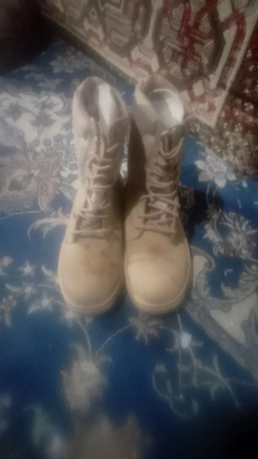 پوتین|کیف، کفش، کمربند|کرباسک, |دیوار