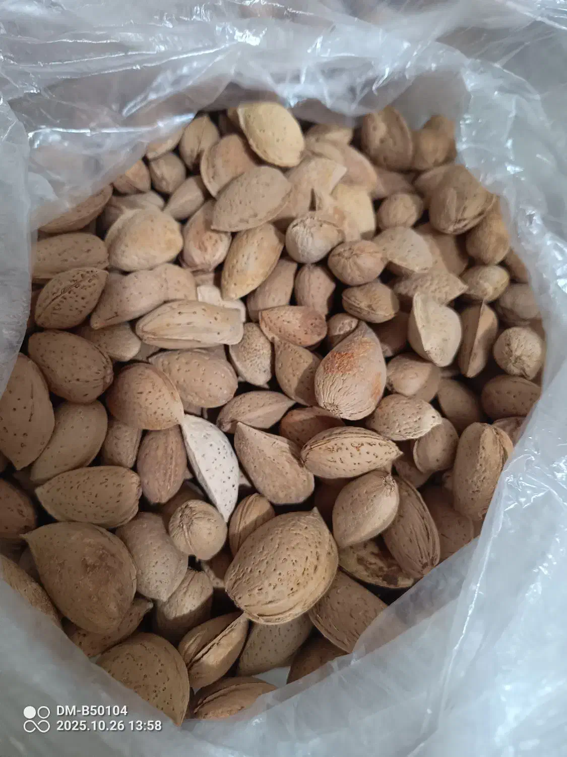 بادام درختی شیرین سنگی و پوست کاغذی|خوردنی و آشامیدنی|فردیس, شهرک هفده شهریور|دیوار