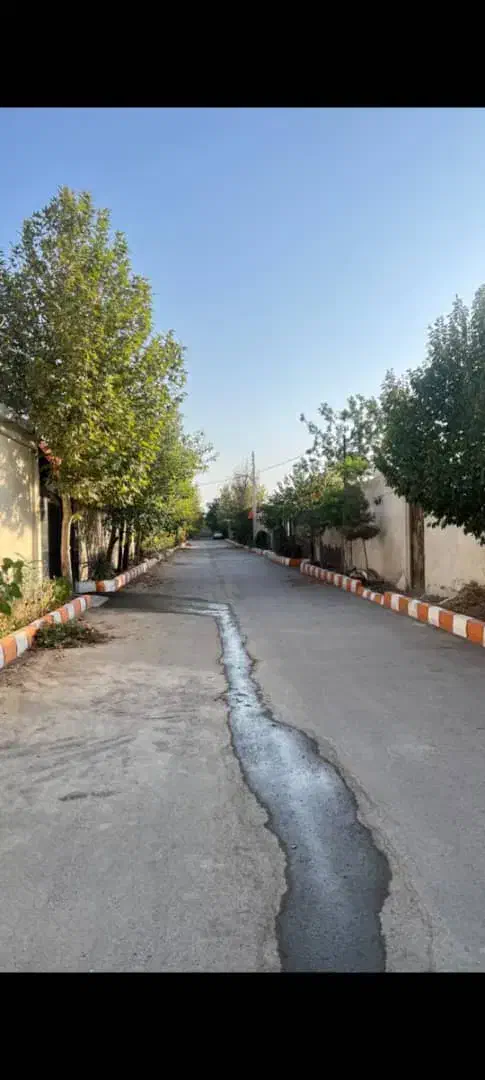 ۳واحد مسکونی با مغازه دوبله ۲۵۰ متری ناظریه نیلوفر|فروش آپارتمان|مشهد, میان ولایت|دیوار