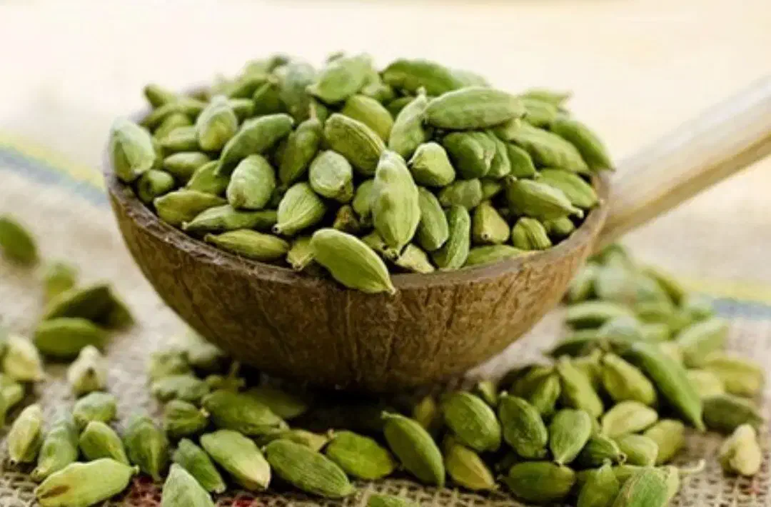 زعفران اصل مجتهدی|خوردنی و آشامیدنی|قم, شهرک مهدیه (مدرس)|دیوار