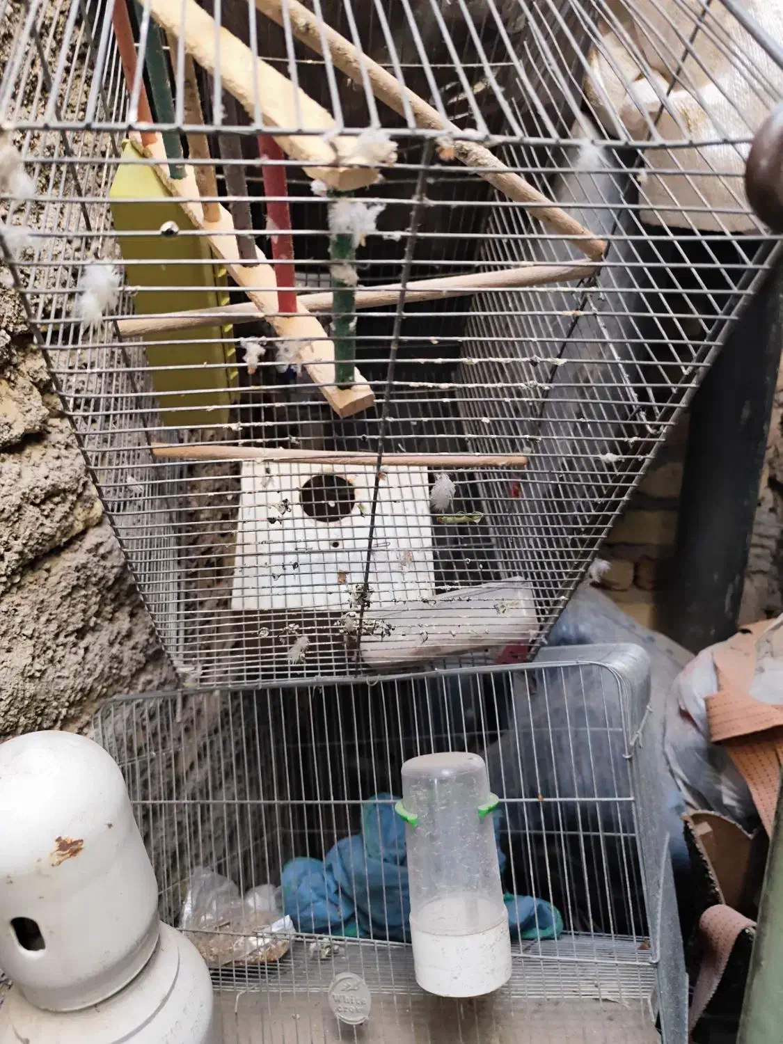 قفس پرنده|لوازم جانبی حیوانات|سیرجان, |دیوار