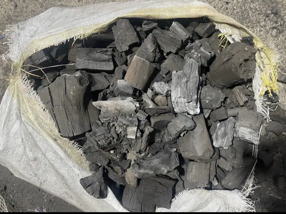 زغال کبابی فله|عمدهفروشی|کرج, گلشهر|دیوار