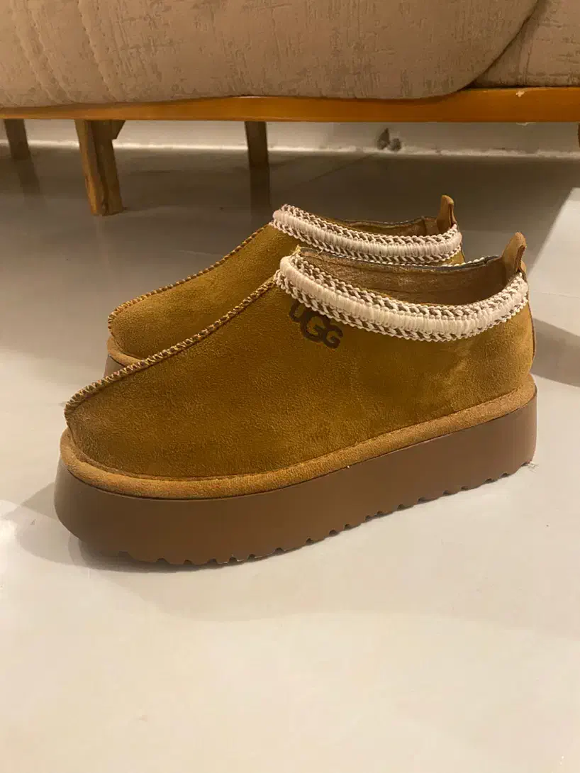 نیم بوت جدید|کیف، کفش، کمربند|تربت جام, جامی|دیوار