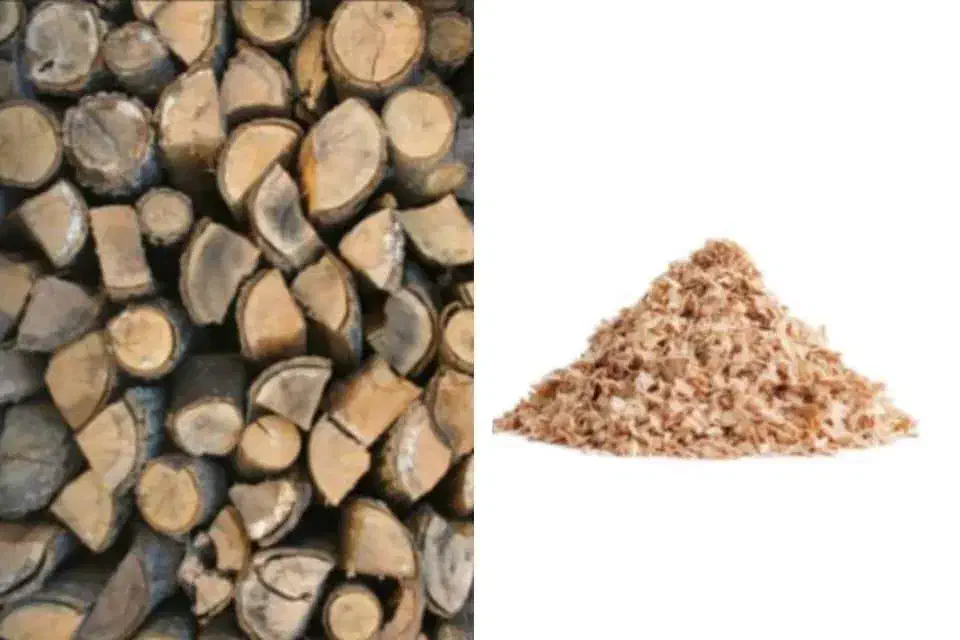 هیزم و پوشال نجاری|عمده‌فروشی|شیراز, شهرک مهدیه|دیوار