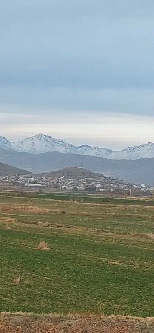 فروش یک قطعه زمین کشاورزی آبی به مساحت 31000 متر|فروش دفتر صنعتی، کشاورزی، تجاری|قلقل رود, |دیوار
