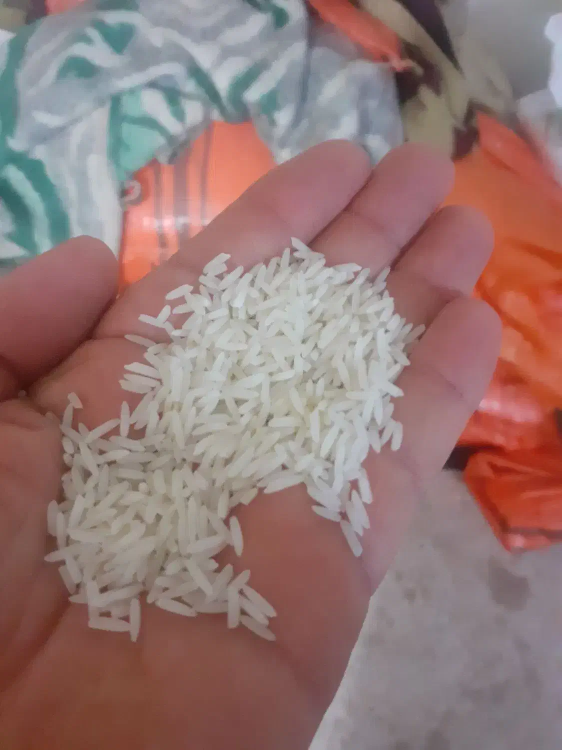 فروش برنج دُم سیاه صدری|خوردنی و آشامیدنی|کوچصفهان, |دیوار