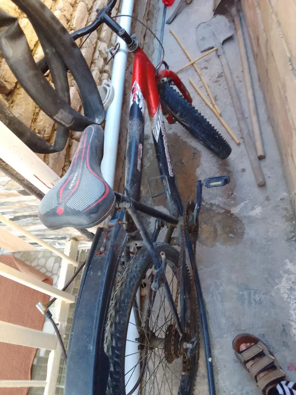 دوچرخه ۲۴|دوچرخه، اسکیت، اسکوتر|گمیشان, |دیوار