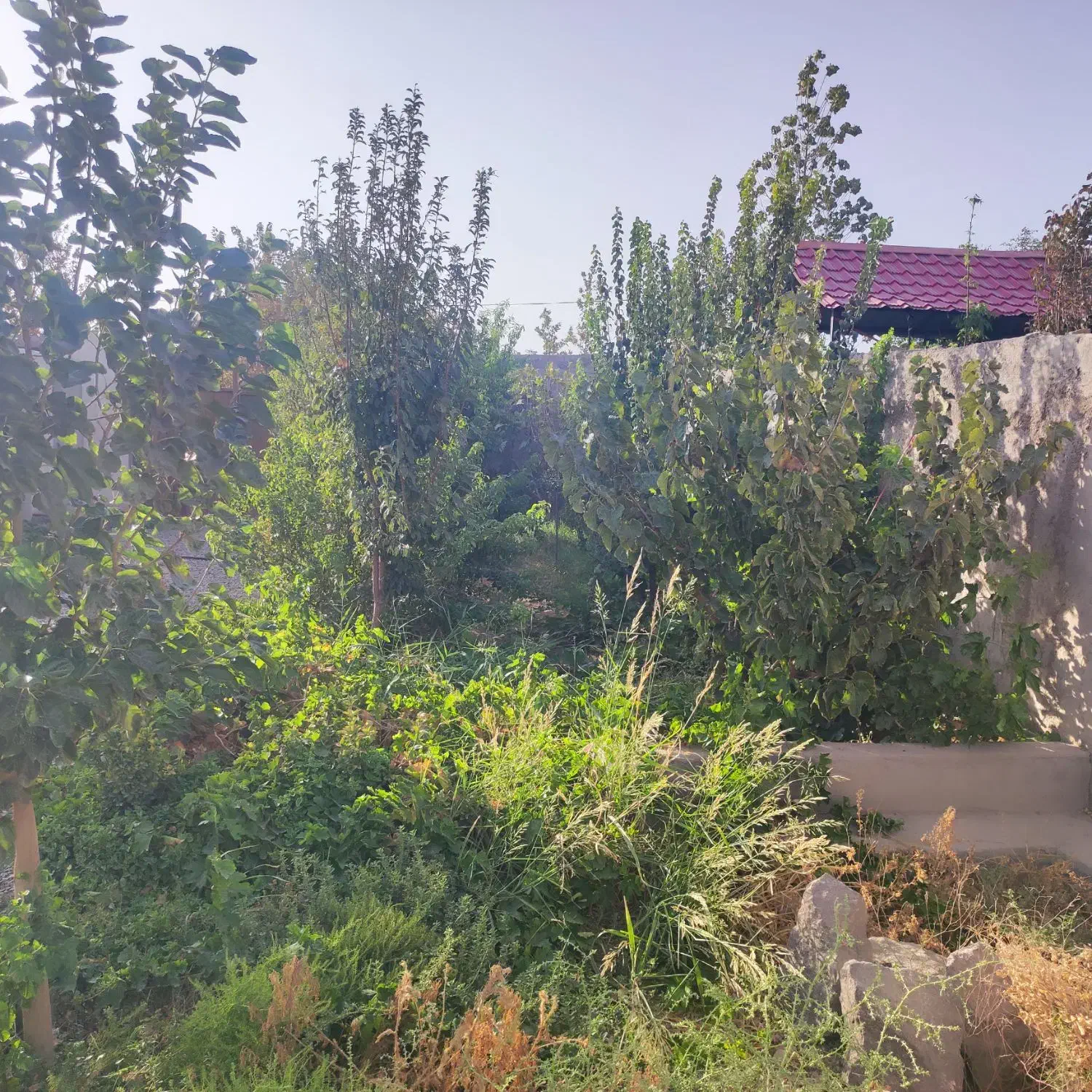 باغ کبودگنبد|فروش خانه و ویلا|پاکدشت, کبودگنبد|دیوار