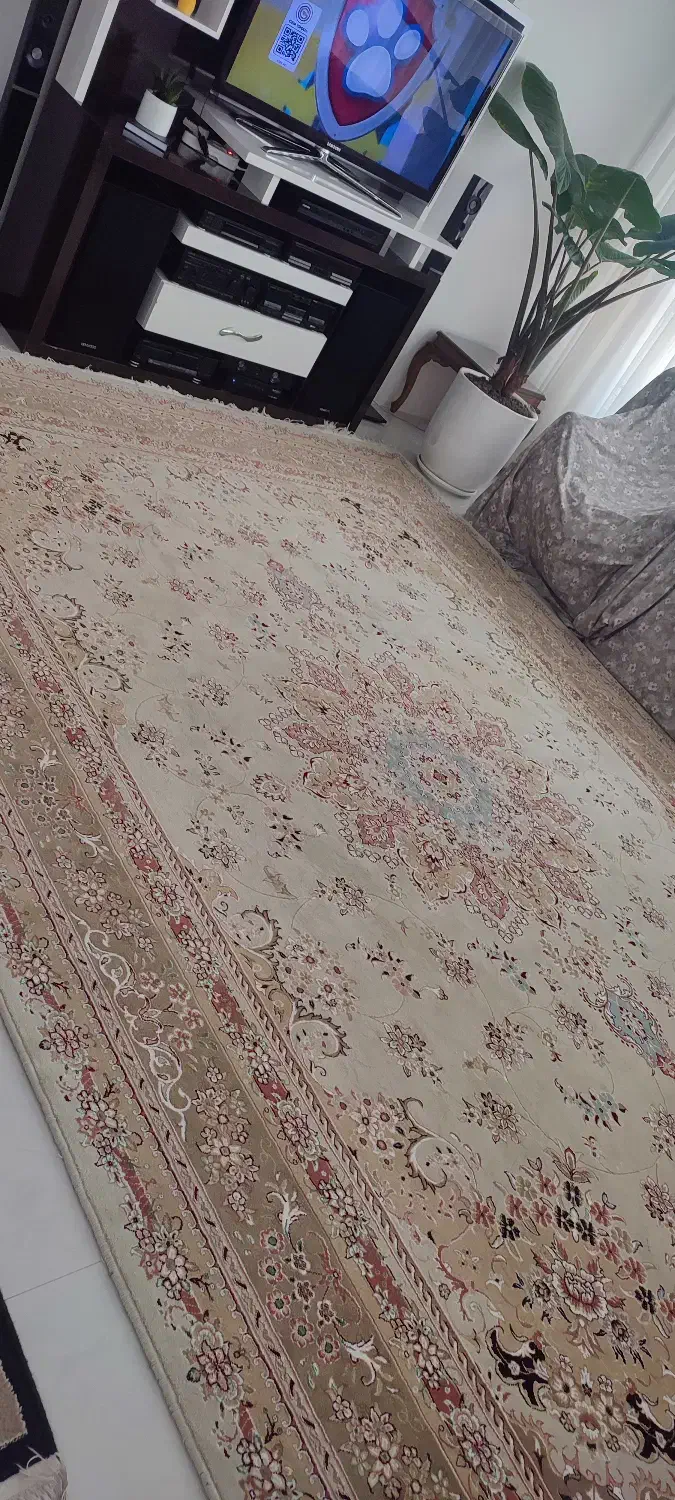 فرش ۱۲ متری کاملا سالم|فرش|نیشابور, شهرک قدس|دیوار