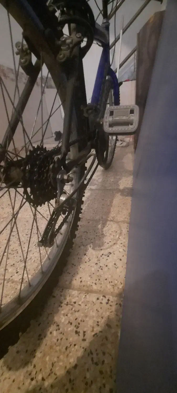 دوچرخه دنده ای کوهستان|دوچرخه، اسکیت، اسکوتر|مشهد, رده|دیوار