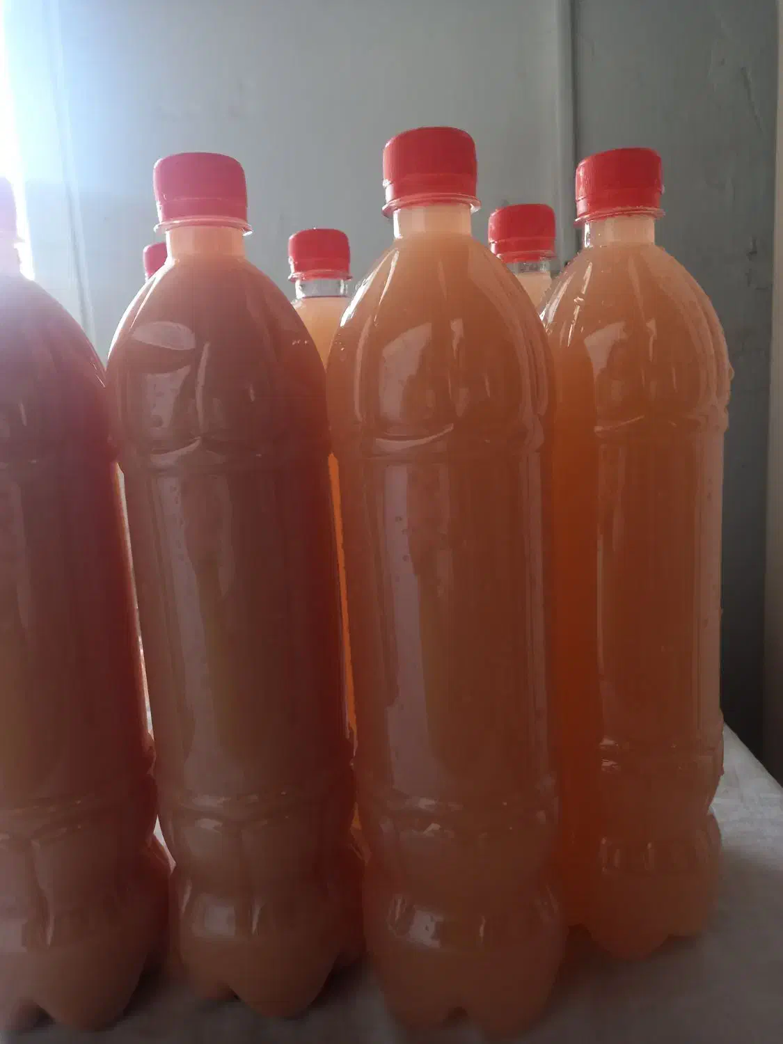 سرکه سیب خانگی|خوردنی و آشامیدنی|رودسر, |دیوار