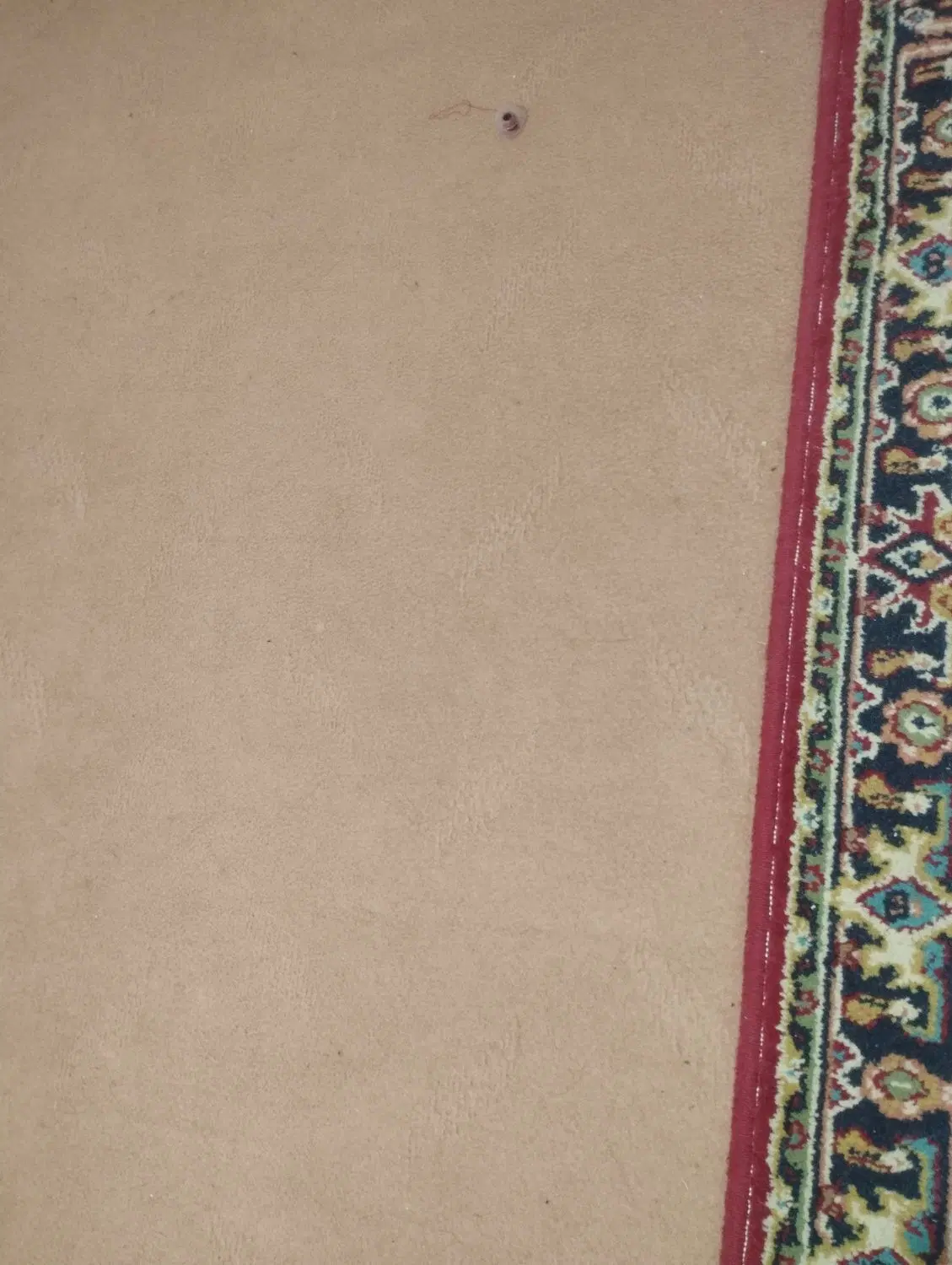 موکت|موکت|مراغه, |دیوار