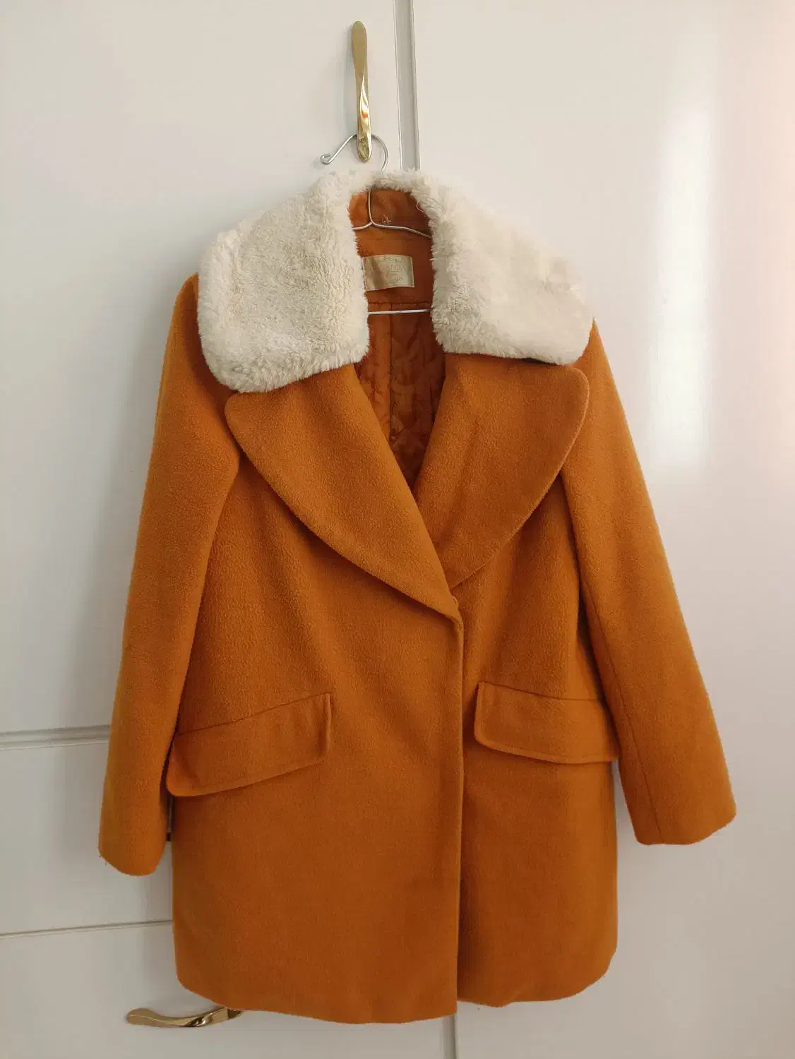 پالتو خردلی|لباس|لنگرود, |دیوار