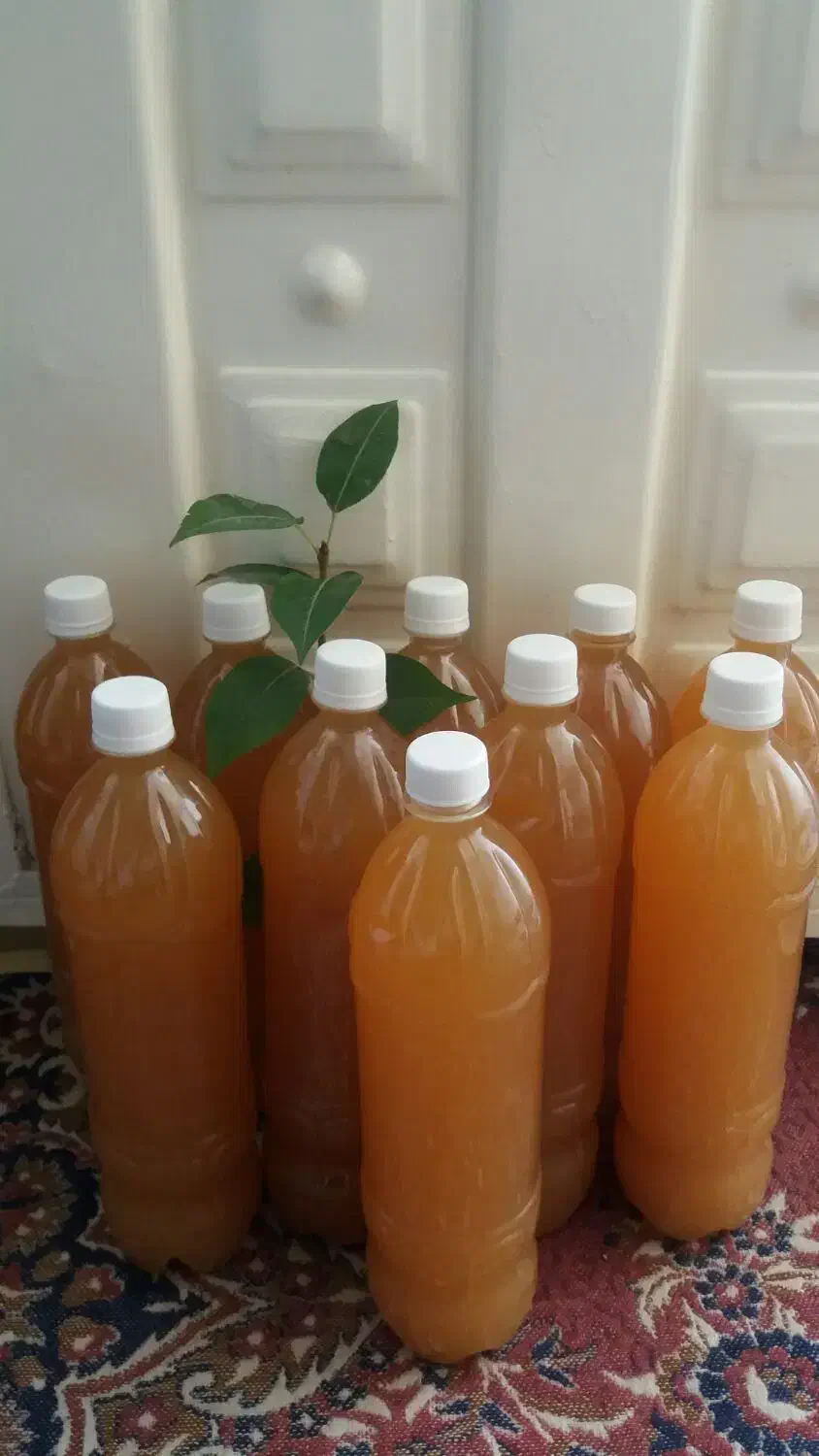 آبغوره|خوردنی و آشامیدنی|قزوین, |دیوار