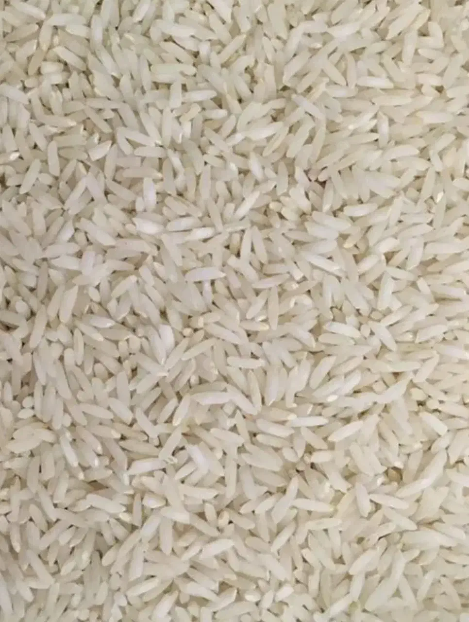 برنج ممتاز محلی لرستان|خوردنی و آشامیدنی|بندرعباس, |دیوار