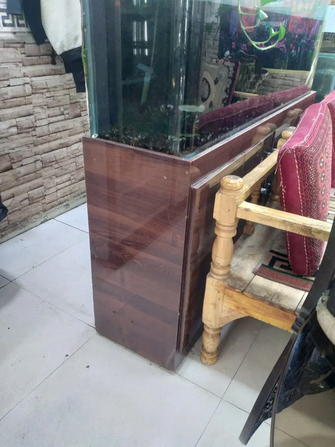 آکواریوم شیشه خم|ماهی|قم, چهار مردان|دیوار