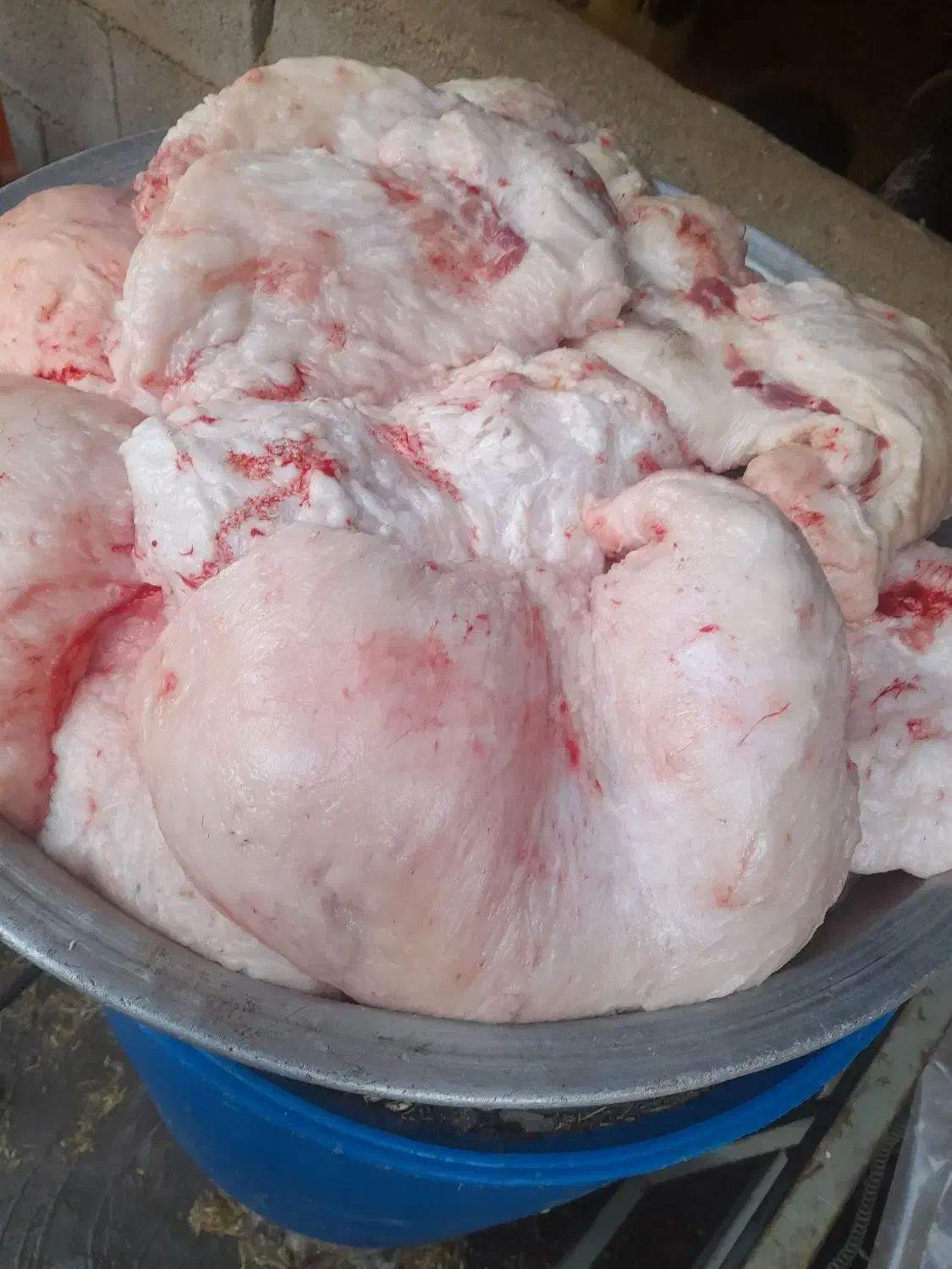 کله پاچه دومبه دلوجیگر فروشی|خوردنی و آشامیدنی|مسجد سلیمان, |دیوار