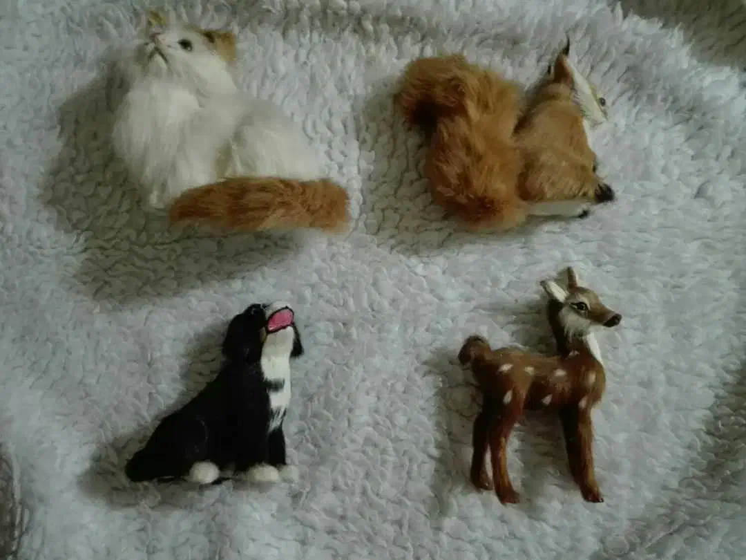 فیگور حیوانات موی طبیعی|کلکسیون و سرگرمی|تهران, ایرانشهر|دیوار