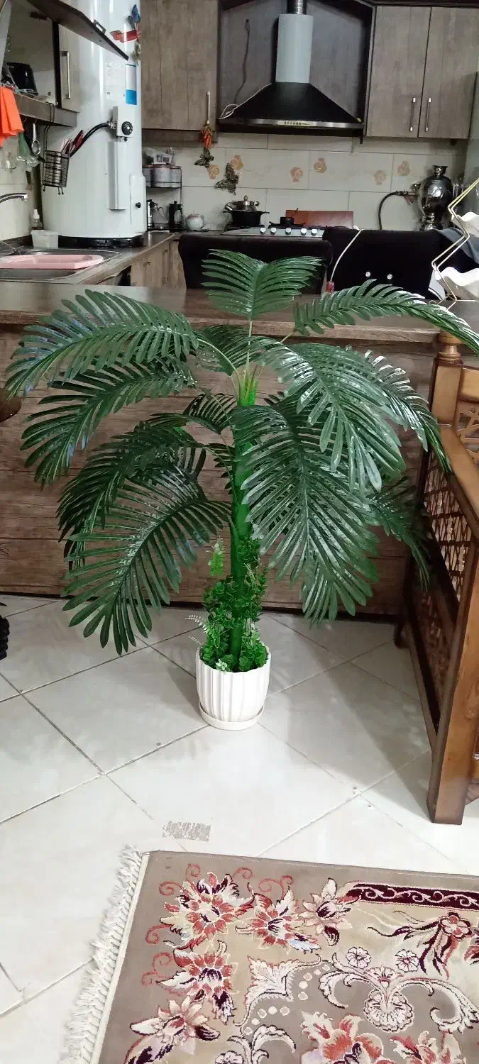 نخل شامادورا مصنوعی|گل مصنوعی|نجف‌آباد, گلدشت|دیوار