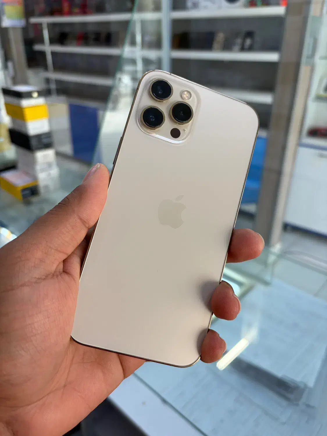 iPhone 12 promax|موبایل|نیشابور, مدرس|دیوار